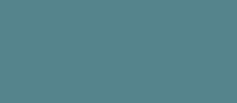 2,5L Renovo Cleancolor Cool Petrol